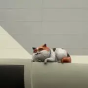 たけ