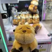 即購入◯ プロフ必読の画像