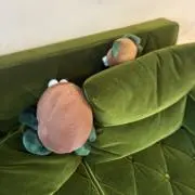 ボーイ | 引越しのためおやすみ中の画像