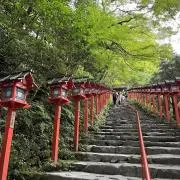つむじの画像