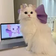 마이の画像