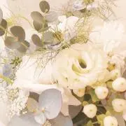 Graceの画像