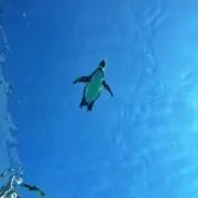 yamaxxxxxの画像