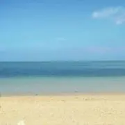 ☘️低価格提供☘️の画像