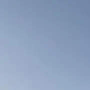 cco (プロフ必読)の画像