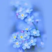 Ｎの画像