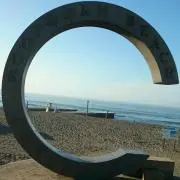 LICEの画像