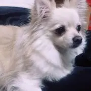 Hiroki