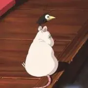 まりもの画像
