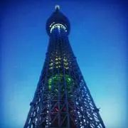たんぽぽの画像