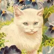 ふじのの画像