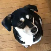 まほろば　＊プロフ必読＊