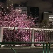 M-03の画像