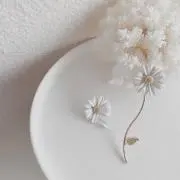 hayaの画像