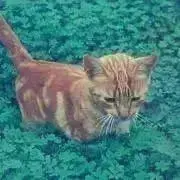 ネル【プロフ必読！】の画像