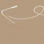 むーの画像