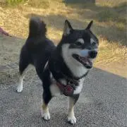れふくわ_挨拶や連絡不要