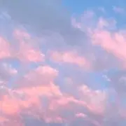 イズミの画像