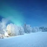 たまごの画像