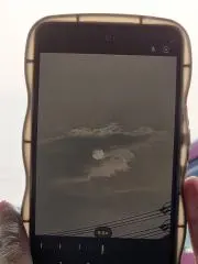 ミュウの画像