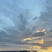 みぃの画像