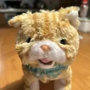 ムギマルの画像