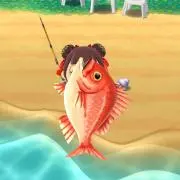 ちむ