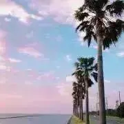 ミルの画像