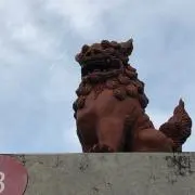 diverの画像