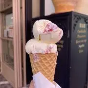 もちの画像