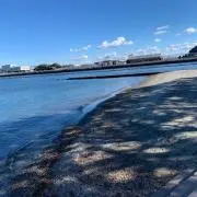 アングラー012345