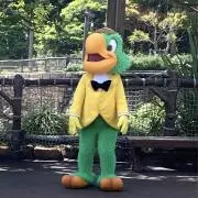 Rの画像