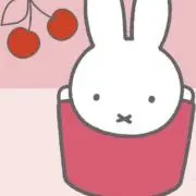 Juanitaの画像