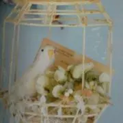 トムタロン＊同梱割引有り＊の画像