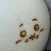 おなり