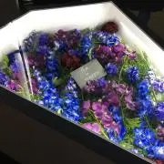 メルモ