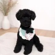 チョコくんの編み物屋さんの画像