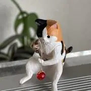 ピーチな館の画像