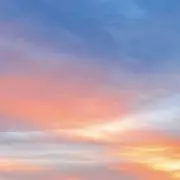 おまとめ割あり☆ささま☆の画像