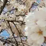 ロン＊プロフ有りの画像