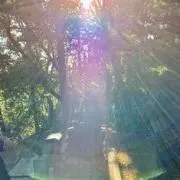 ゆうりん ☆の画像