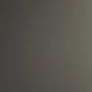 断捨離中