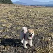 にこ