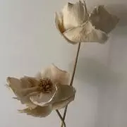 mi