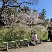 ume55の画像