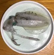 021 kuniの画像