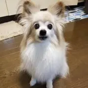 けいいちの画像