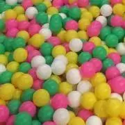 ⭐︎とと　発送は毎週木曜日⭐︎の画像