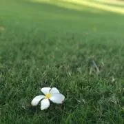 Yukiの画像