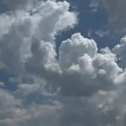히요の画像